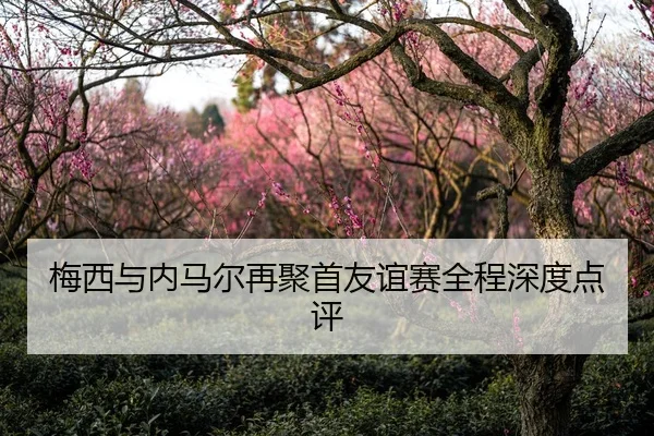 梅西与内马尔再聚首友谊赛全程深度点评